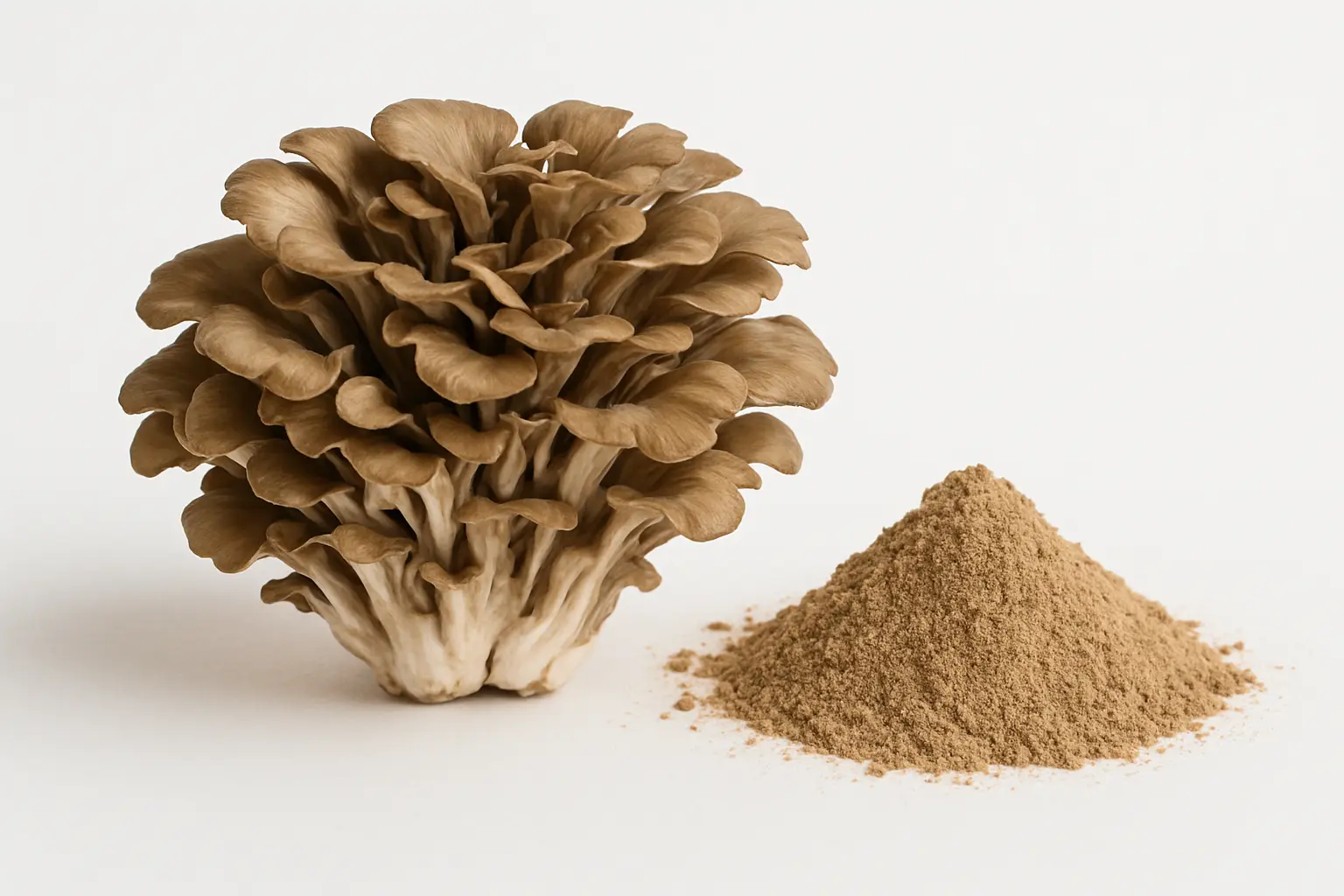 Maitake Mushroom Extract
